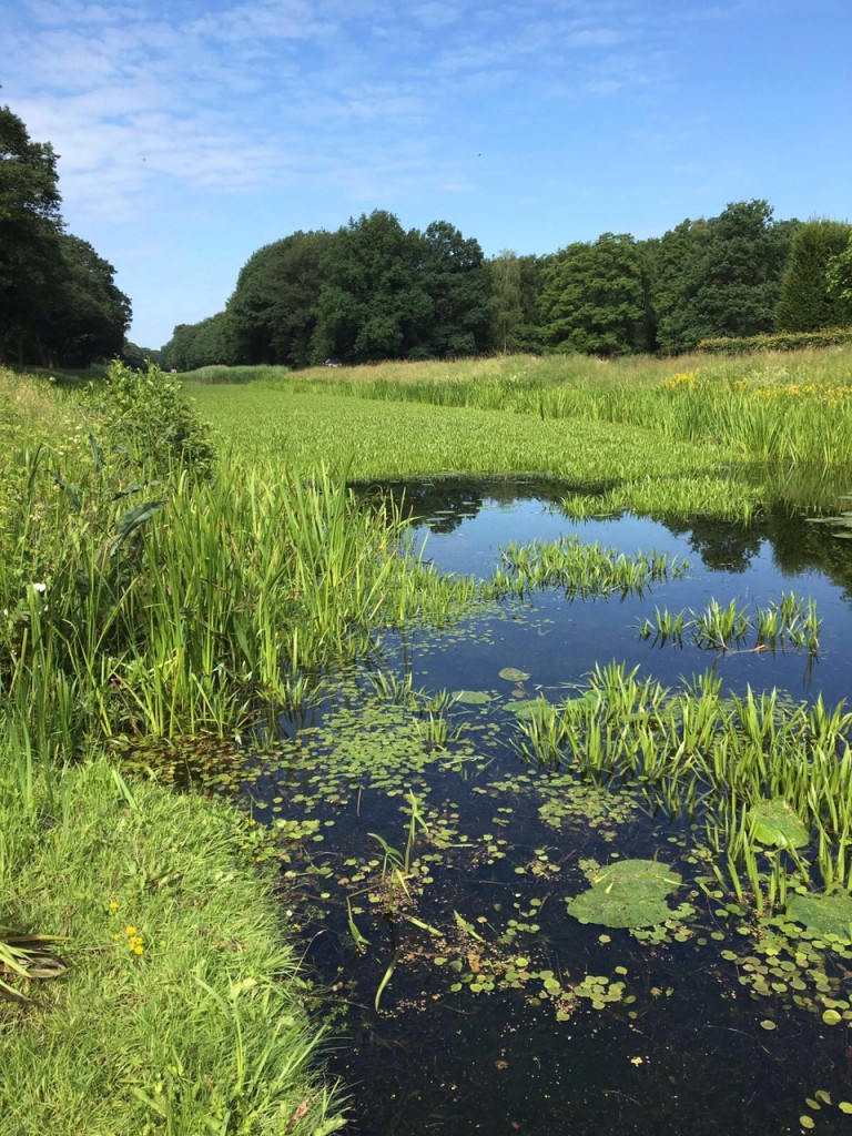 Kanaal Almelo Nordhorn Denekamp